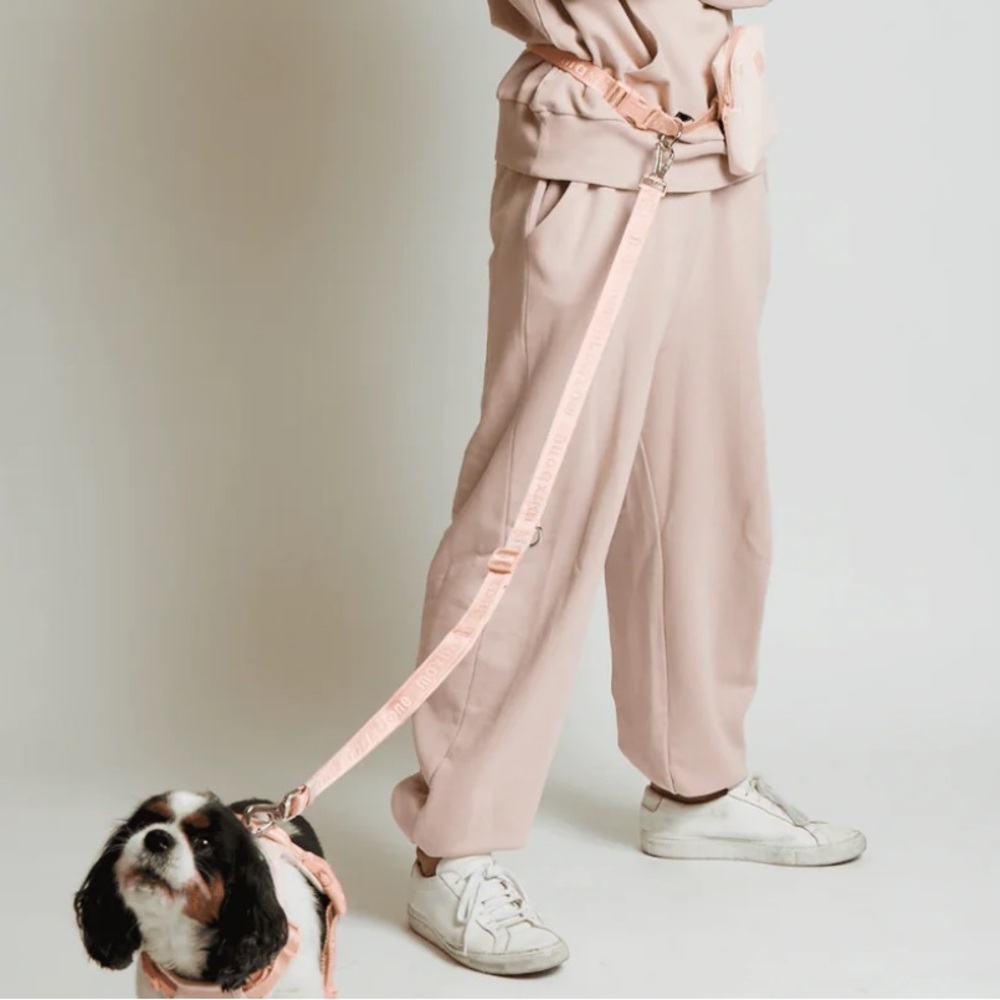 Stylish Pink Dog Harness and Leash Set